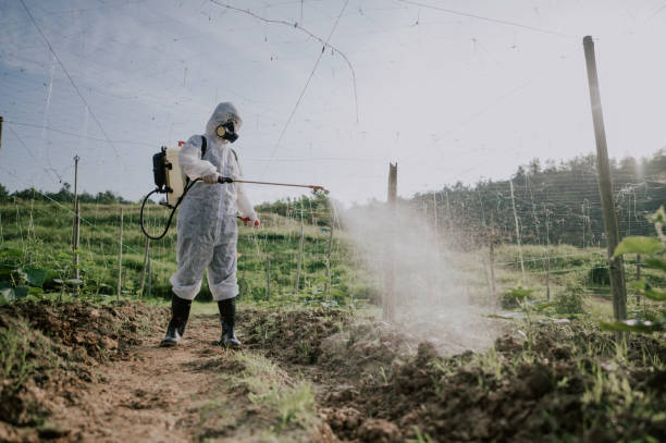 Best Commercial Pest Control Services  in Plum Grove, TX