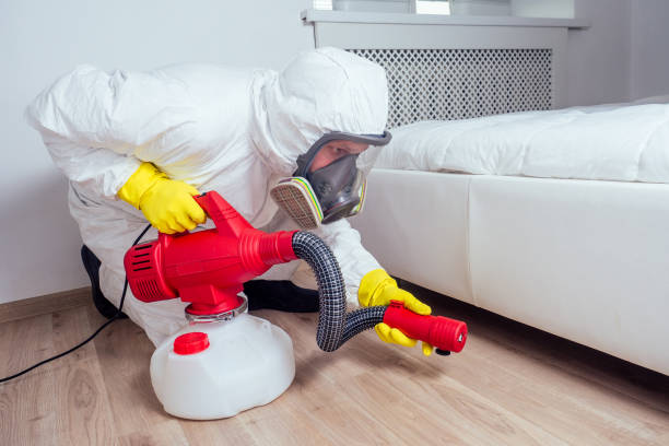 Best Affordable Pest Control Services  in Plum Grove, TX