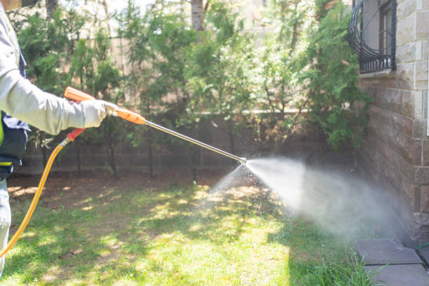 Best Pest Removal Services  in Plum Grove, TX